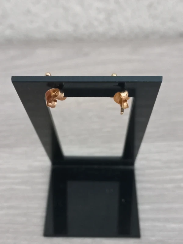 Paire De Boucles D'Oreilles Clou "B" – photo 2